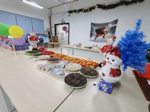 “多國風采、別具風格”的的圣誕節(jié)活動